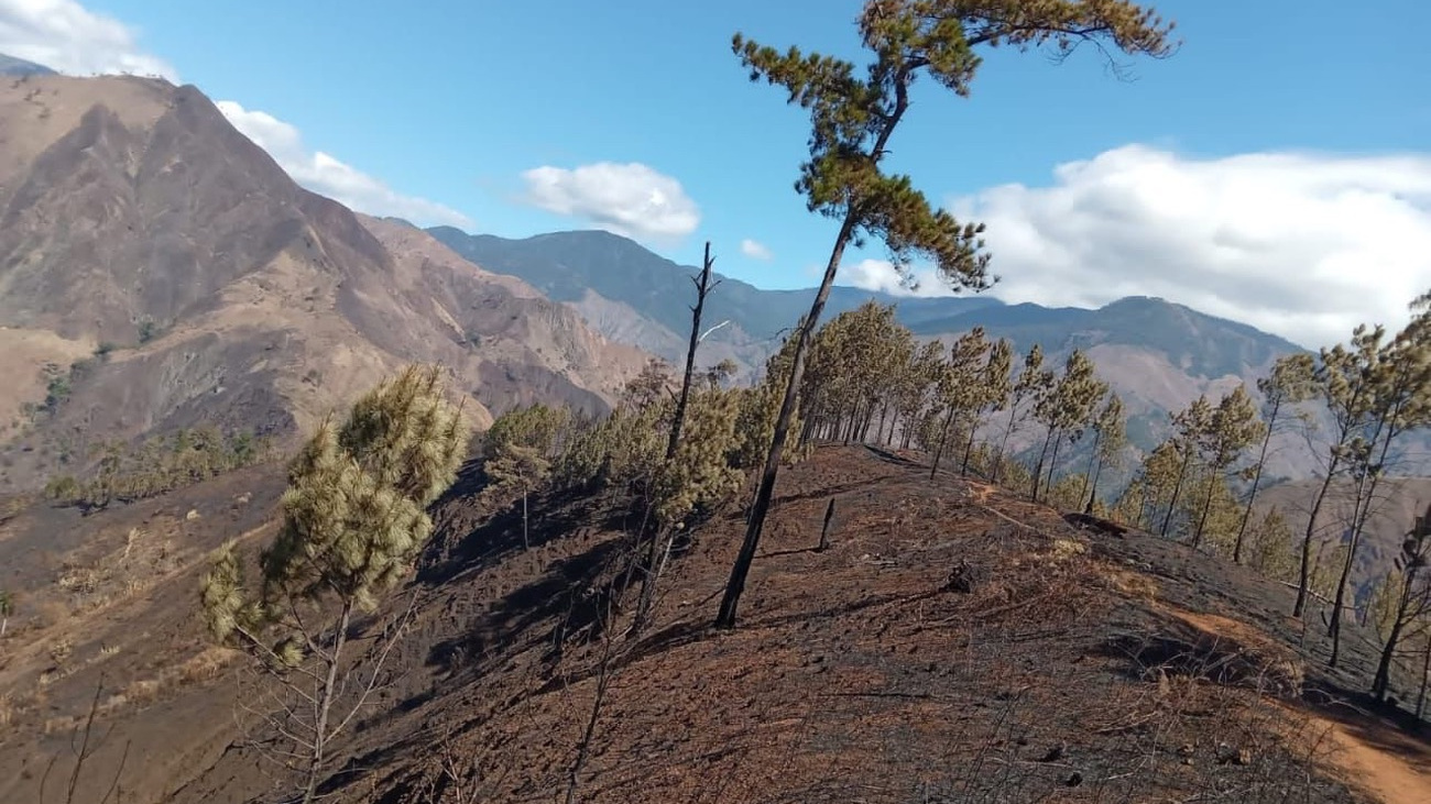 Parque Nacional 