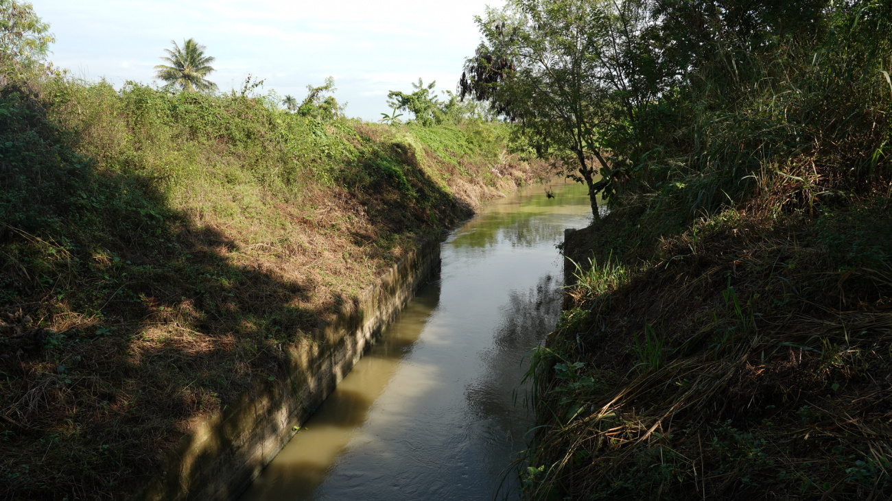 Camú