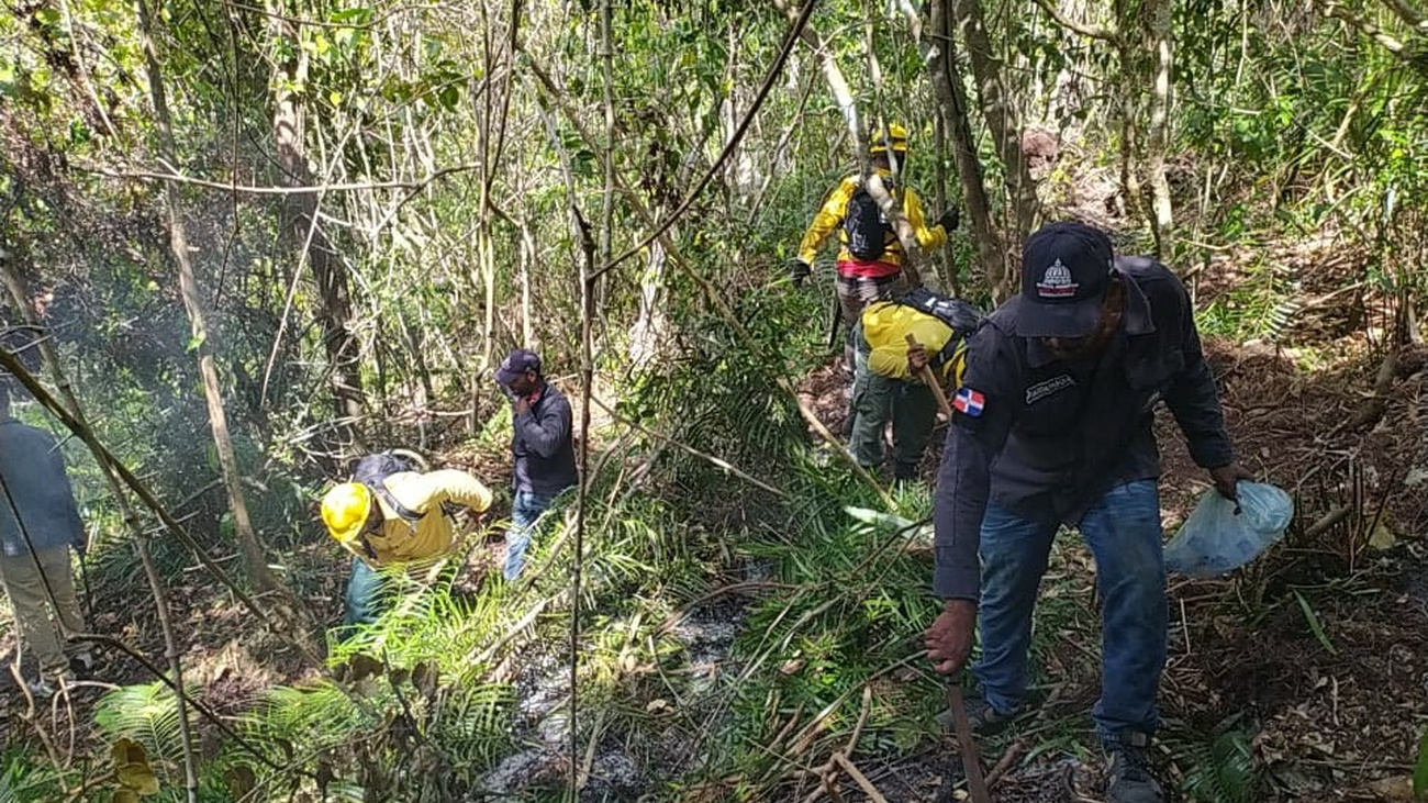 Bomberos en acción 