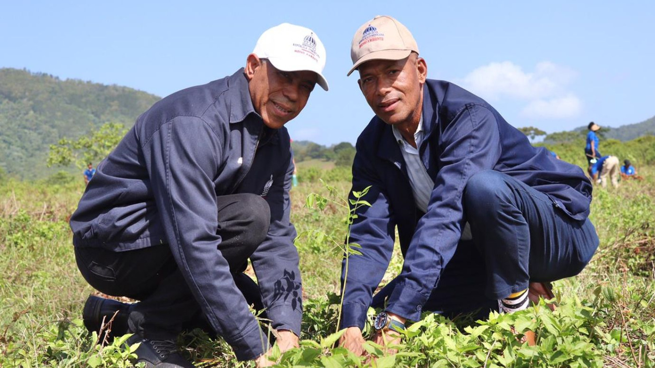 Jornada de forestación