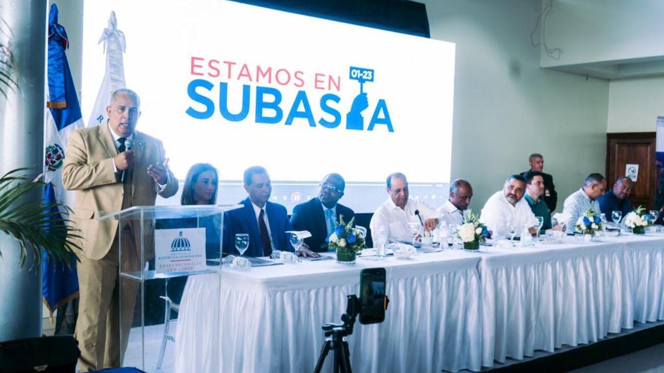 Bienes Nacionales realizará subasta este viernes