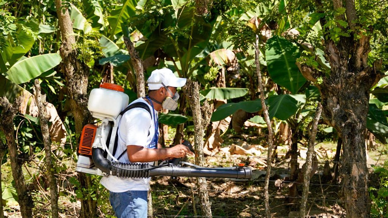 Personal en accion contra el dengue