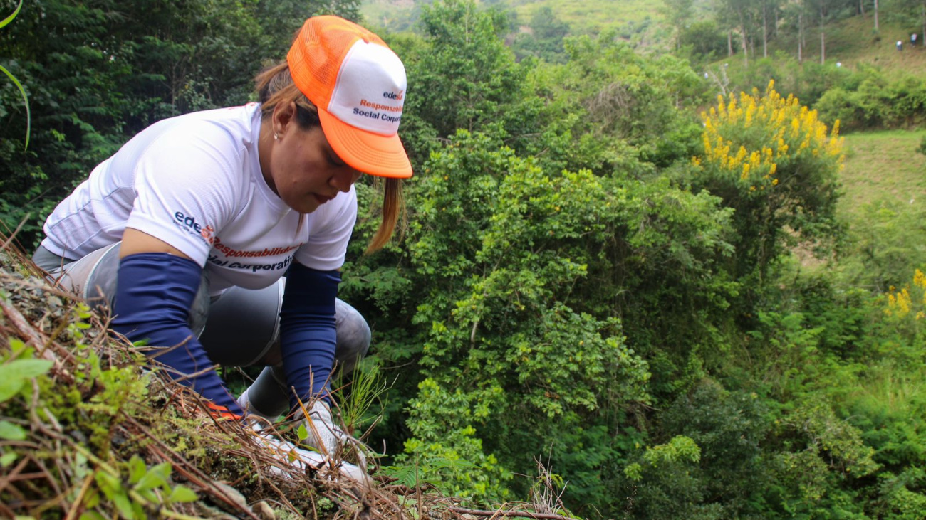 Edesur siembra 1,500 árboles en jornada de reforestación en Los Cacaos, San Cristóbal