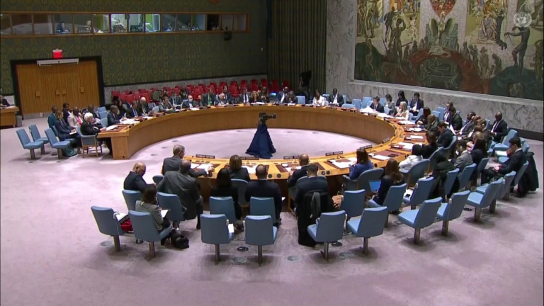 Consejo de Seguridad de la ONU 
