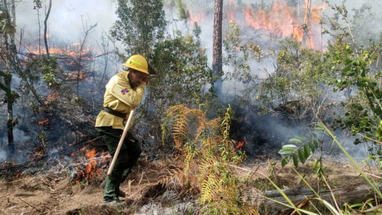 Incendios forestales