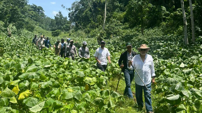 Medioambiente 