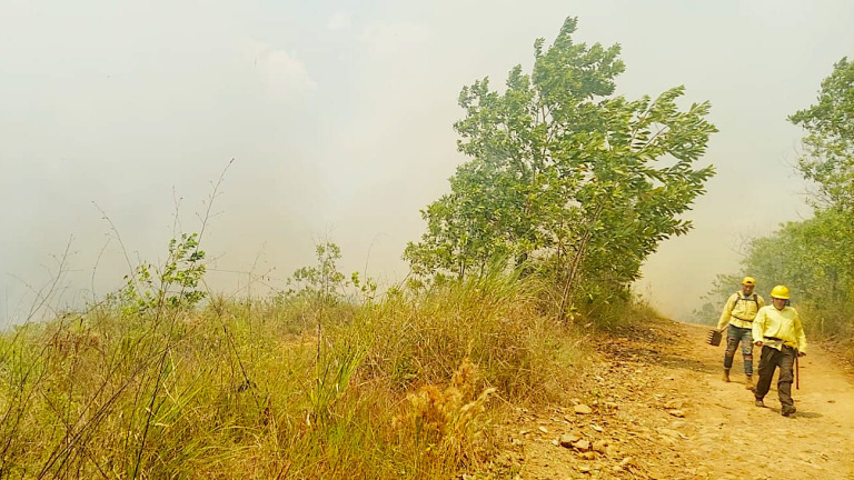 Incendio Forestal