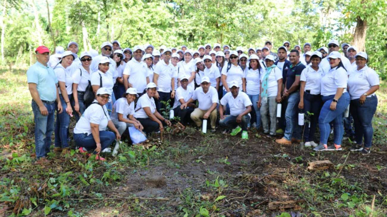Empleados de Contraloría participan en jornada de reforestación  