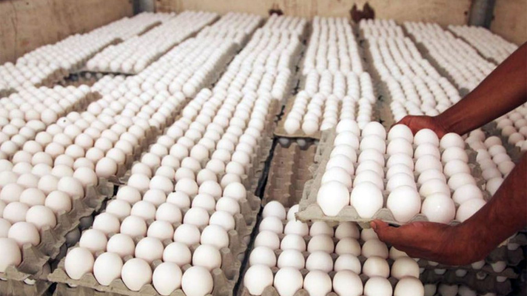 Gobierno dominicano ha comprado casi 10 millones de huevos a productores afectados por cierre de la frontera 