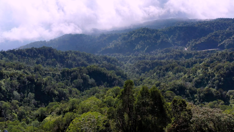 Medio ambiente