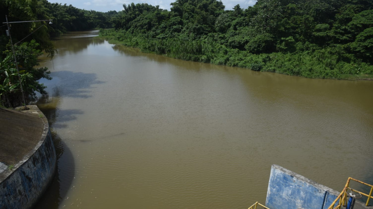 Agua
