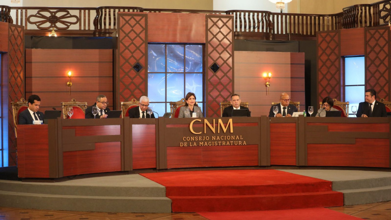 Vicepresidenta Raquel Peña